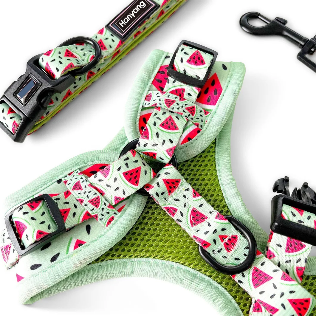 Hanyang 2023 OEM Sublimation Adjustable Dog Harness Luxury Personal Logo Pet Harness Pet Accessories